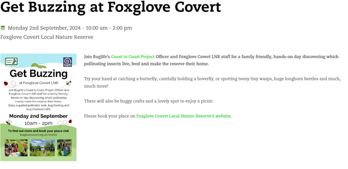 GET BUZZING AT FOX GLOVE COVERT