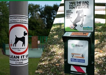 Report dog fouling online