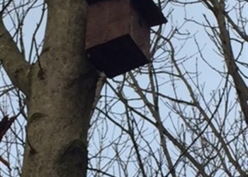 Colburn town council have taken over the woods in front of the Chase